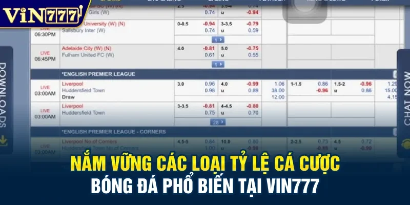 Nắm vững các loại  tỷ lệ cá cược bóng đá phổ biến tại Vin777